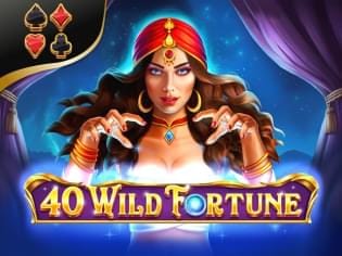 Wild Fortune game cover